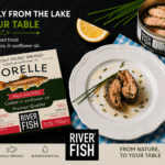 Premium smoked trout in sunflower oil without additives, River Fish can and plated trout fillets