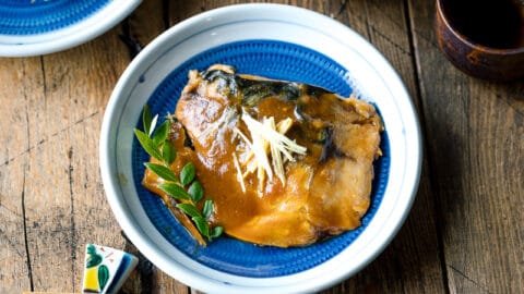 A gourmet dish of Japanese canned mackerel simmered in rich miso sauce, plated with ginger and greens.