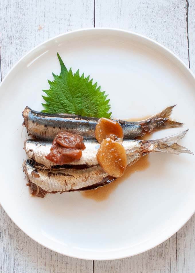 Japanese canned fish sardines simmered with ume plums traditional recipe